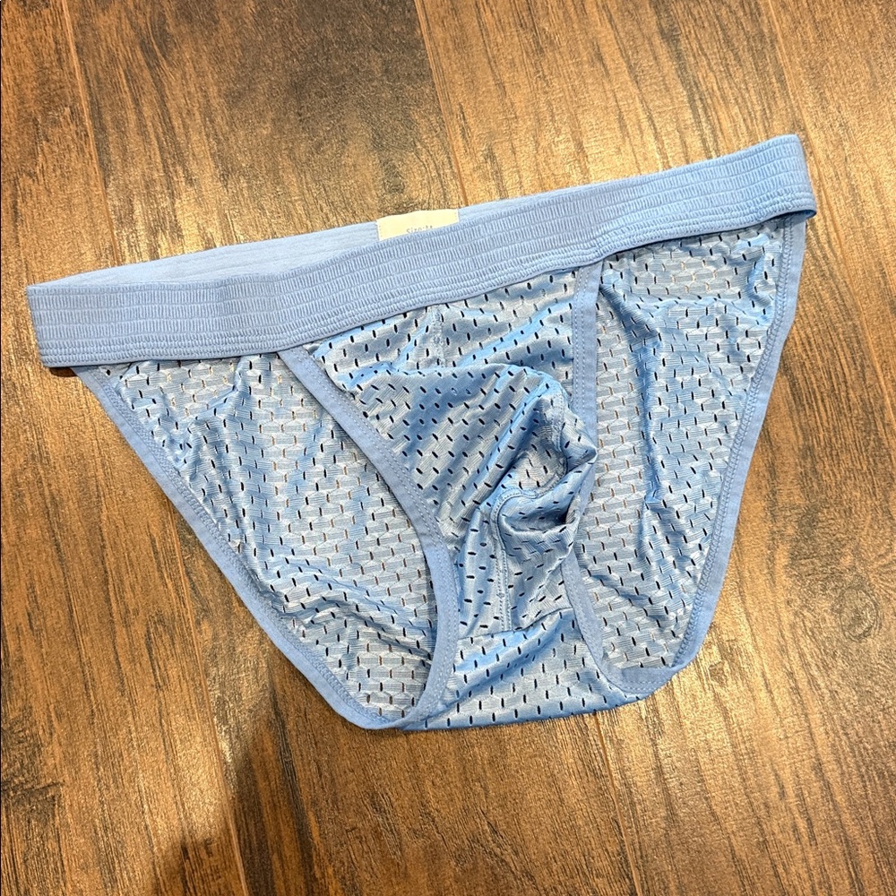 Light Blue Mesh Briefs